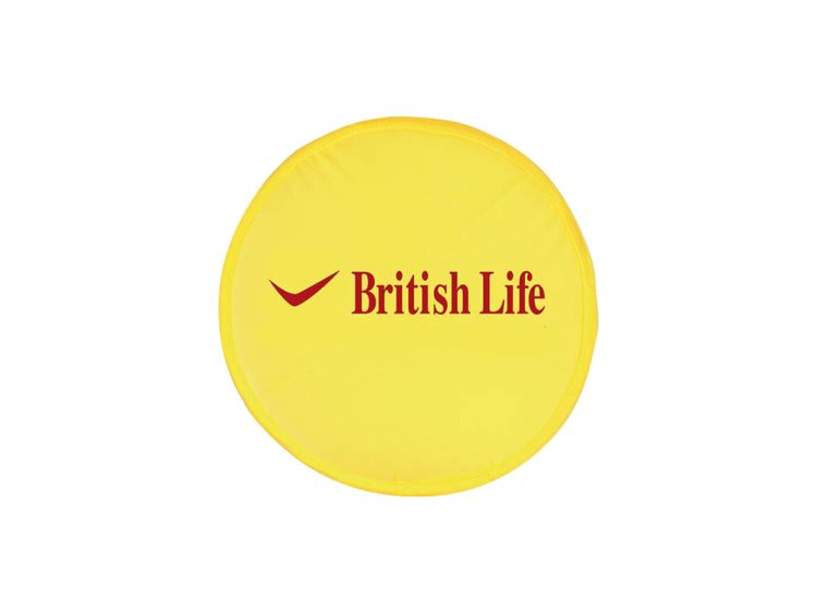 Frisbee
