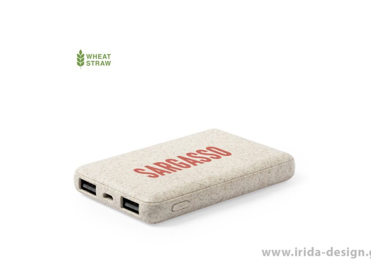 Powerbank 5000mAh